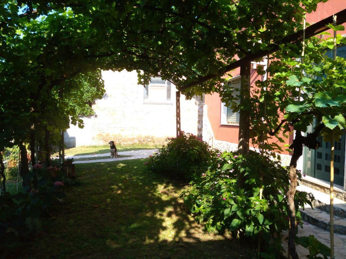 Bella Di Notte Apartment San Giorgio a Liri Exterior photo